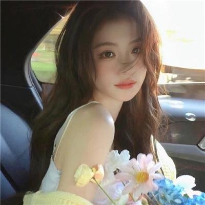 我的英雄学院：英雄崛起